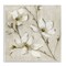 Stupell Industries Neutral Dogwood Branches Wall Plaque Design by Sally Swatland
